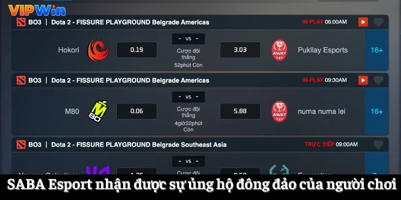 SABA Esport nhận được sự ủng hộ đông đảo của người chơi