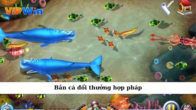 Bắn cá đổi thưởng hợp pháp