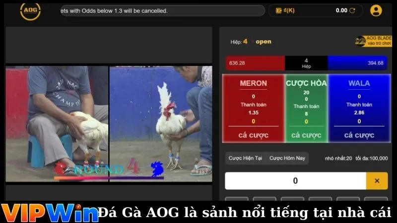 Đá Gà AOG là sảnh cược nổi tiếng tại nhà cái