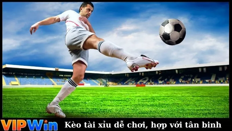 Kèo tài xỉu dễ chơi, phù hợp với tân binh