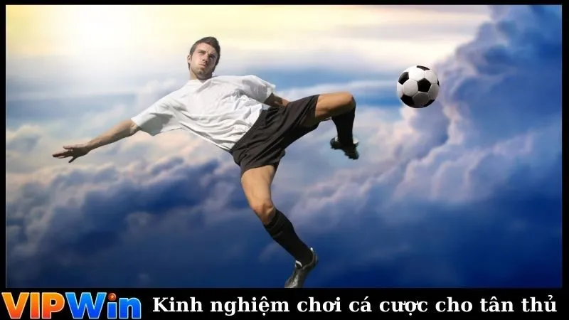 Kinh nghiệm chơi cá cược cho tân thủ