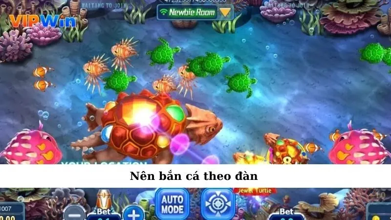Nên bắn cá theo đàn