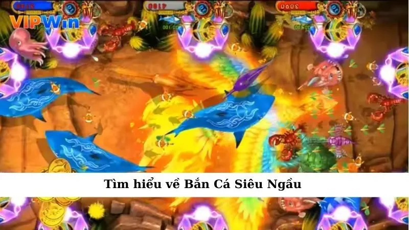 Tìm hiểu về Bắn Cá Siêu Ngầu