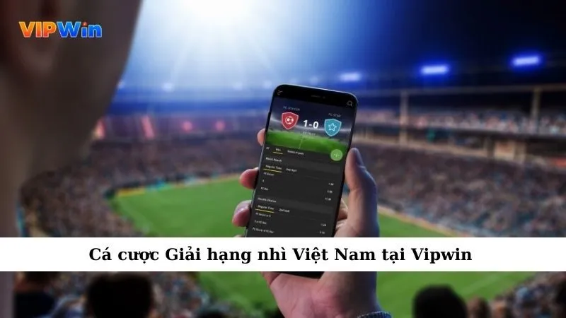 Cá cược Giải hạng nhì Việt Nam tại Vipwin